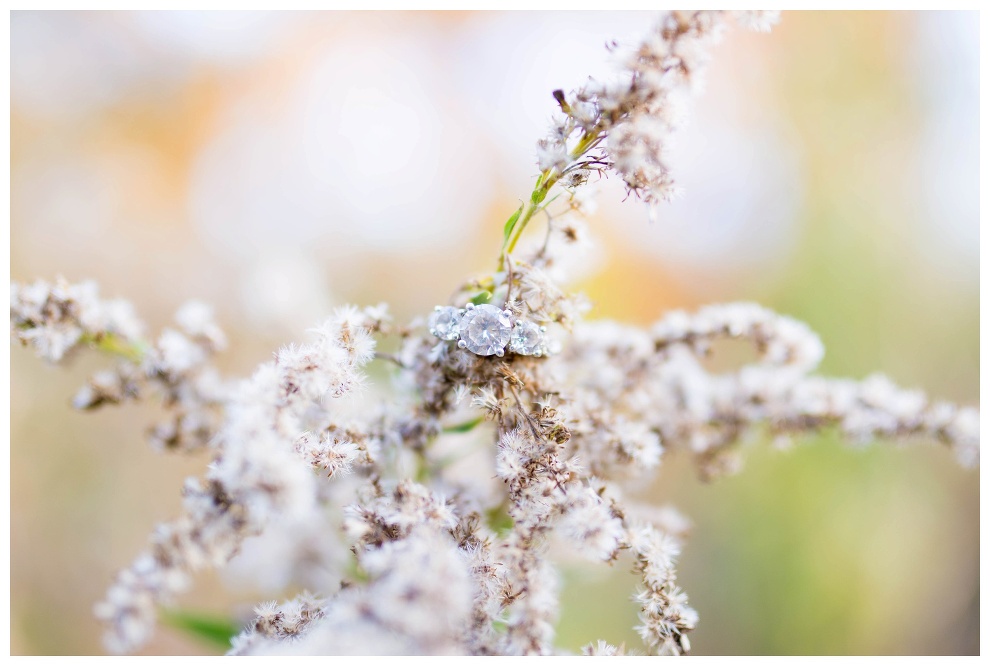 asbury-woods-country-engagement-session-erie-pa-photographer-jessica-husted